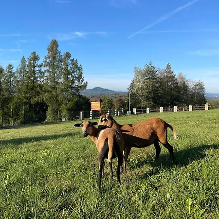Chalet Wioska Jasia I Malgosi Izdebnik