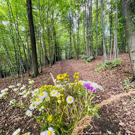 Wioska Jasia I Małgosi *