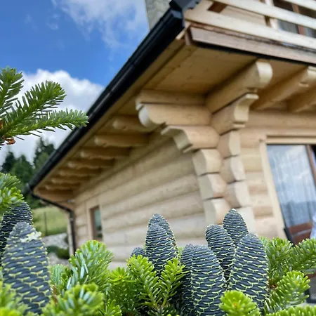 Wioska Jasia I Małgosi Domek alpejski