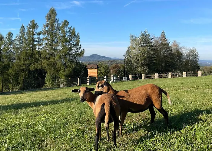 Domek alpejski Wioska Jasia I Małgosi Izdebnik