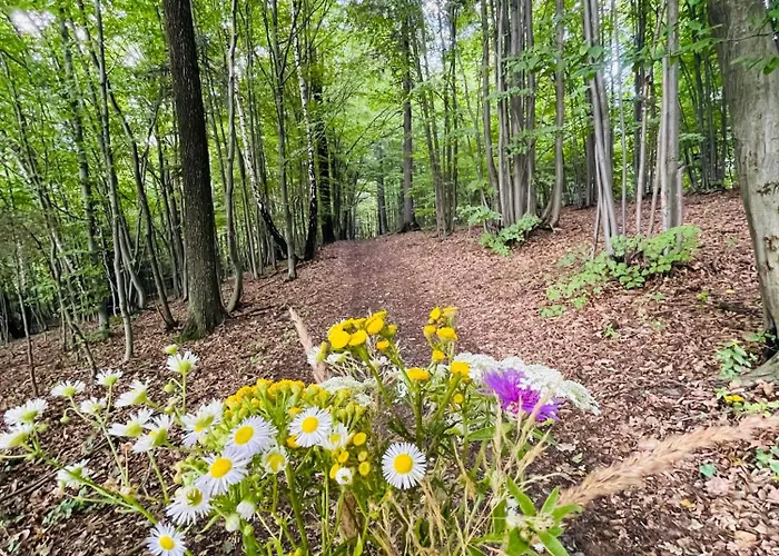 Wioska Jasia I Malgosi *