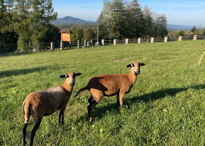 Domek alpejski Wioska Jasia I Małgosi